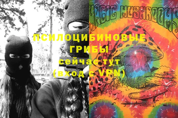 соль ск Белокуриха