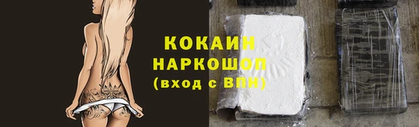 соль ск Белокуриха