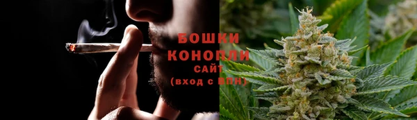 соль ск Белокуриха