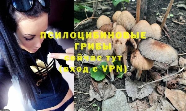 тгк Белоозёрский