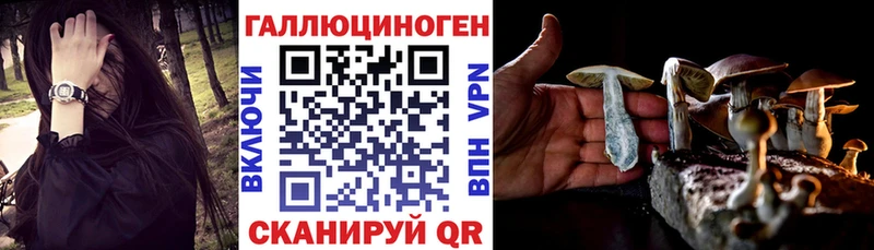 где продают Малмыж Псилоцибиновые грибы ЛСД